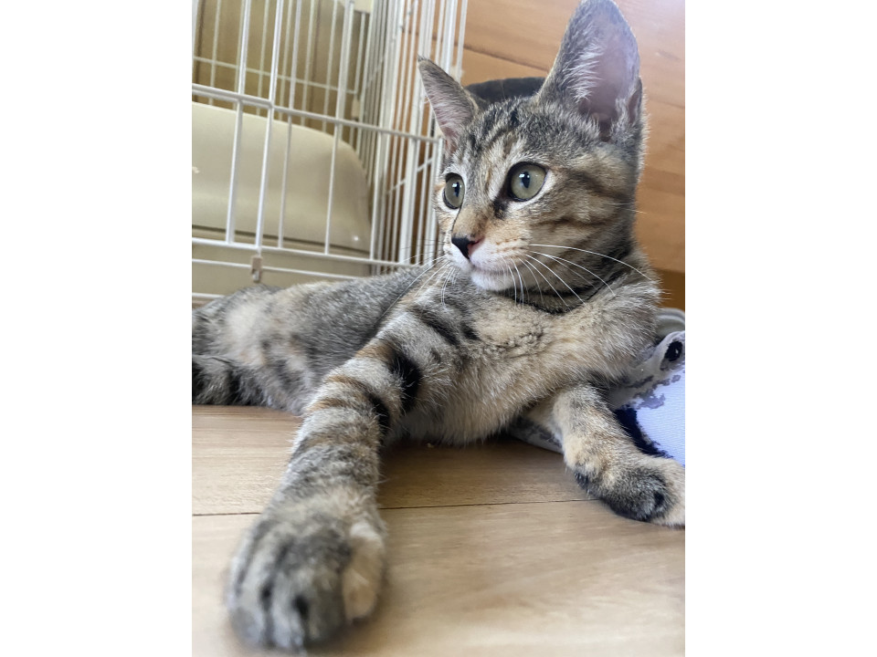 人が大好き♡抱っこもできるかおりさん