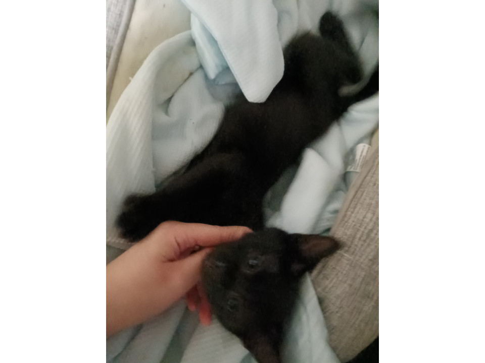 約3ヶ月程