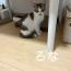ろな