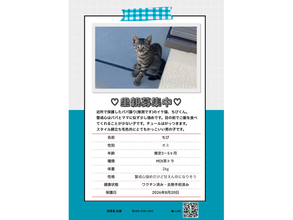 4、5ヶ月くらいの少しビビりな男の子
