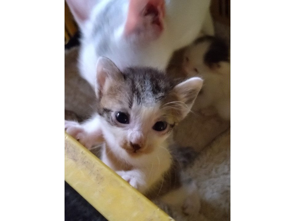 きょうだいです(^o^)