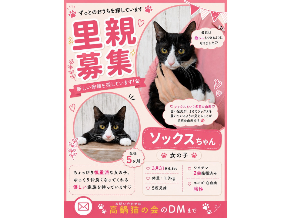 ソックス柄の女の子です