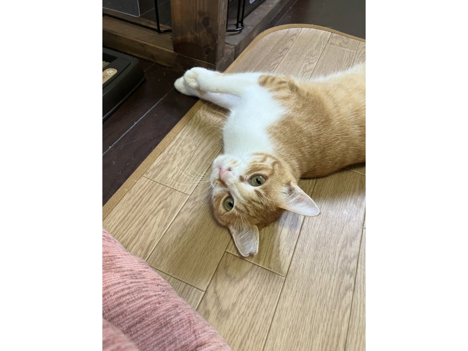 ぶんちゃん