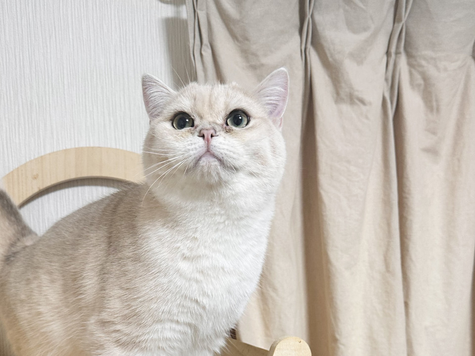 人が大好きなテンくん