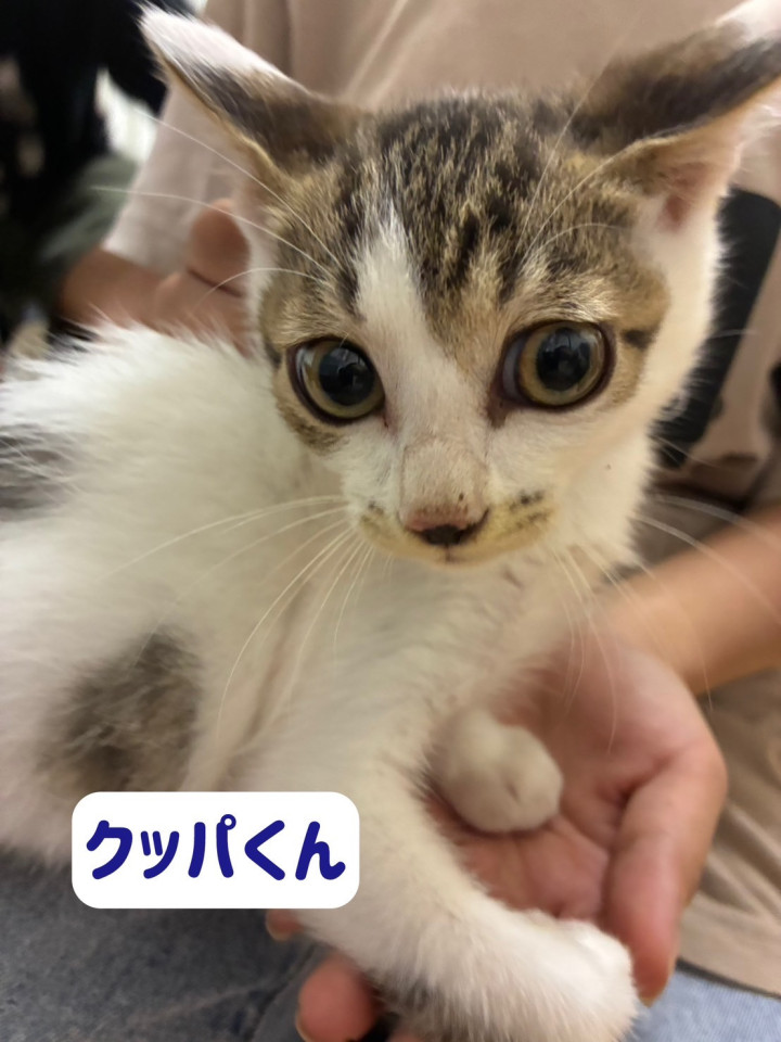 可愛い兄妹