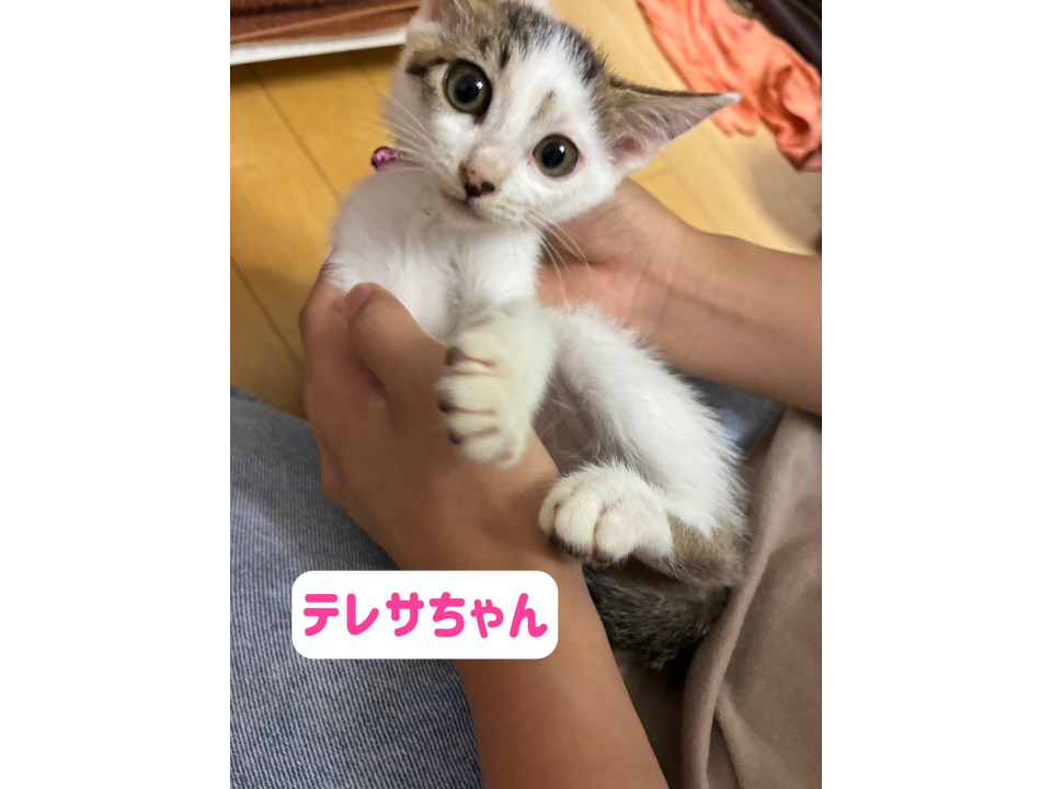 可愛い兄妹