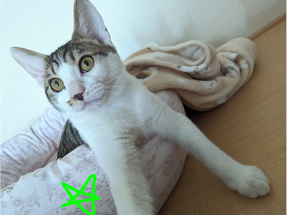 急募長男くん。