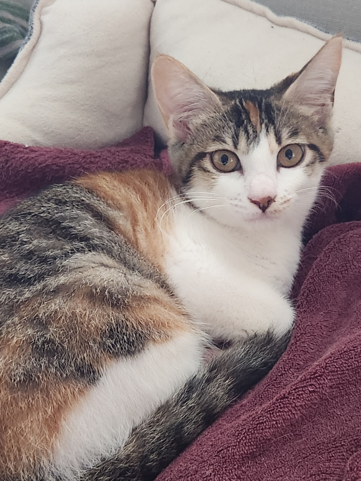 おてんばひまちゃん♡