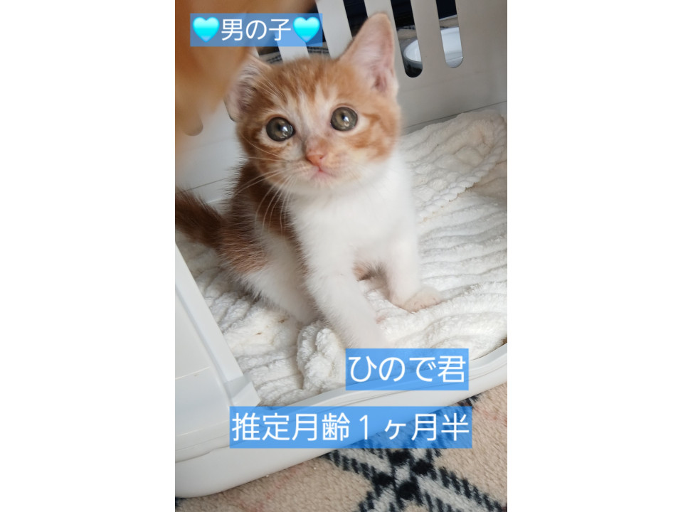 生き残っていてくれた子です。