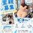 ビコ