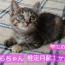 🩷よぞらちゃん(仮名🩷)