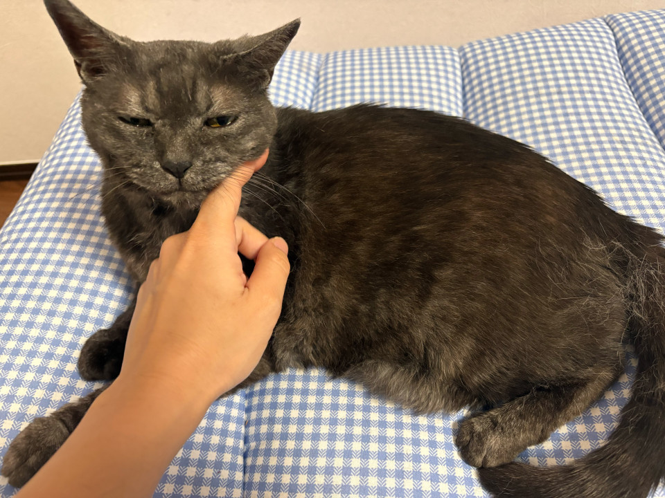 甘えん坊なスモークの女の子