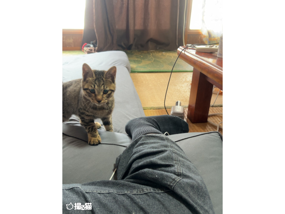 可愛く成長中♪ひまわりちゃん