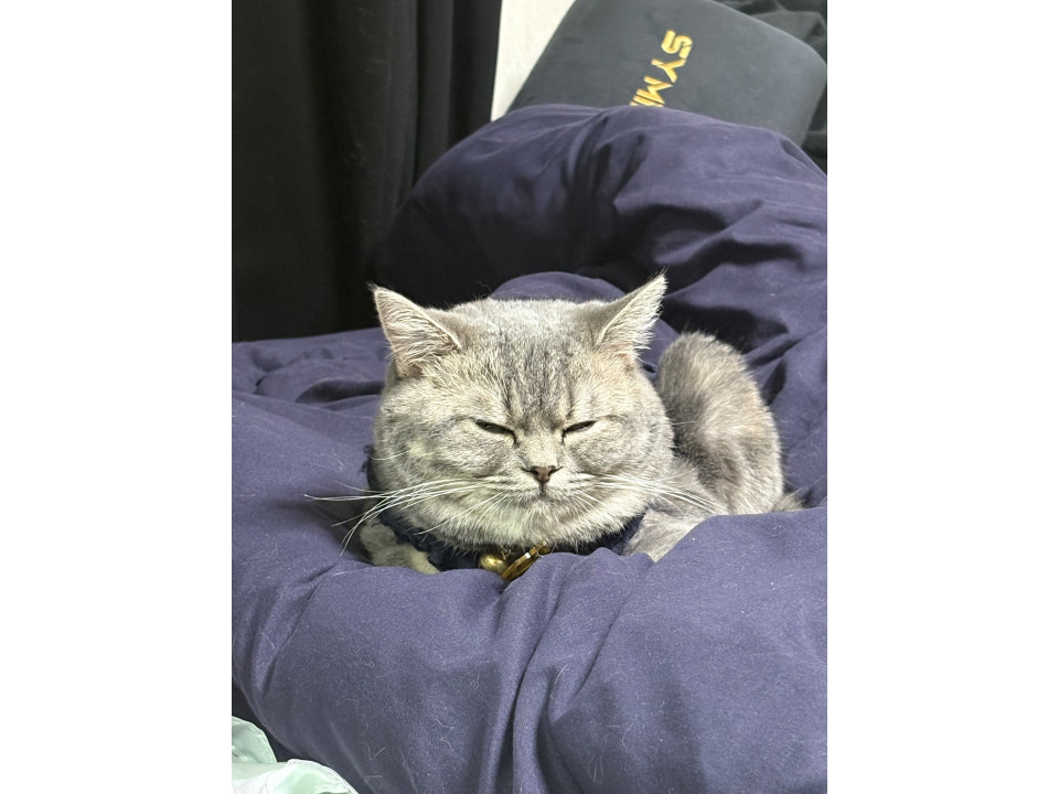 。