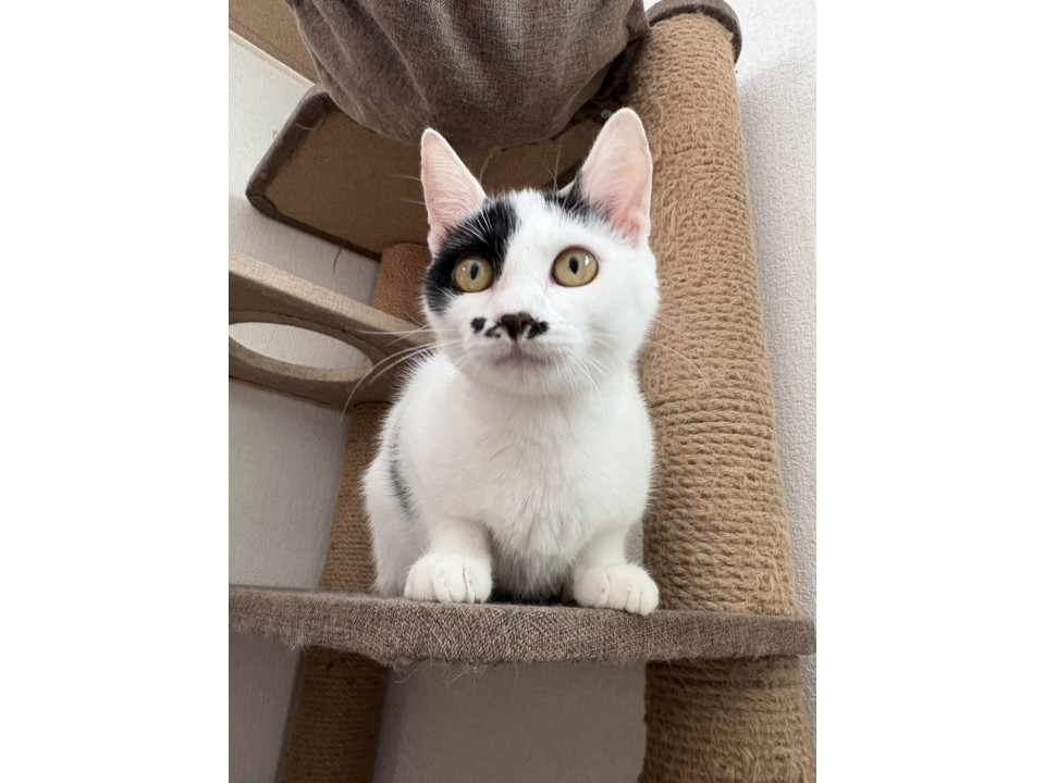 かわいいテンちゃん❣️