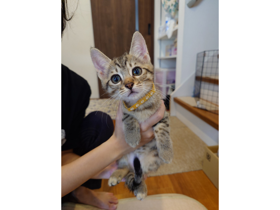 人なつっこい男の子！