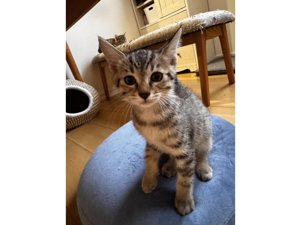 ミルクから育てたせんちゃん