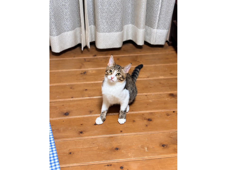 三兄弟なでなで大好きララくん♡