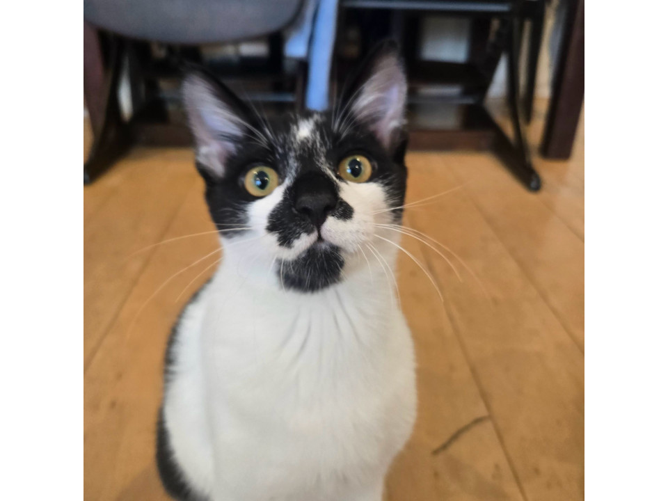 ほどよい甘えん坊さん♡その２