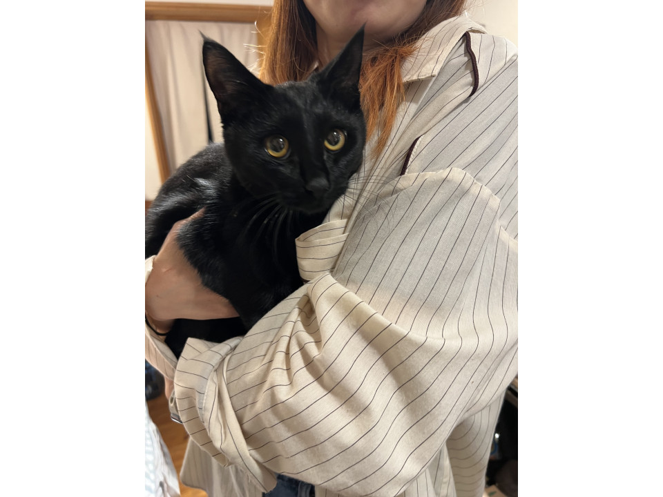 イケメンな黒猫！クロロ君☆