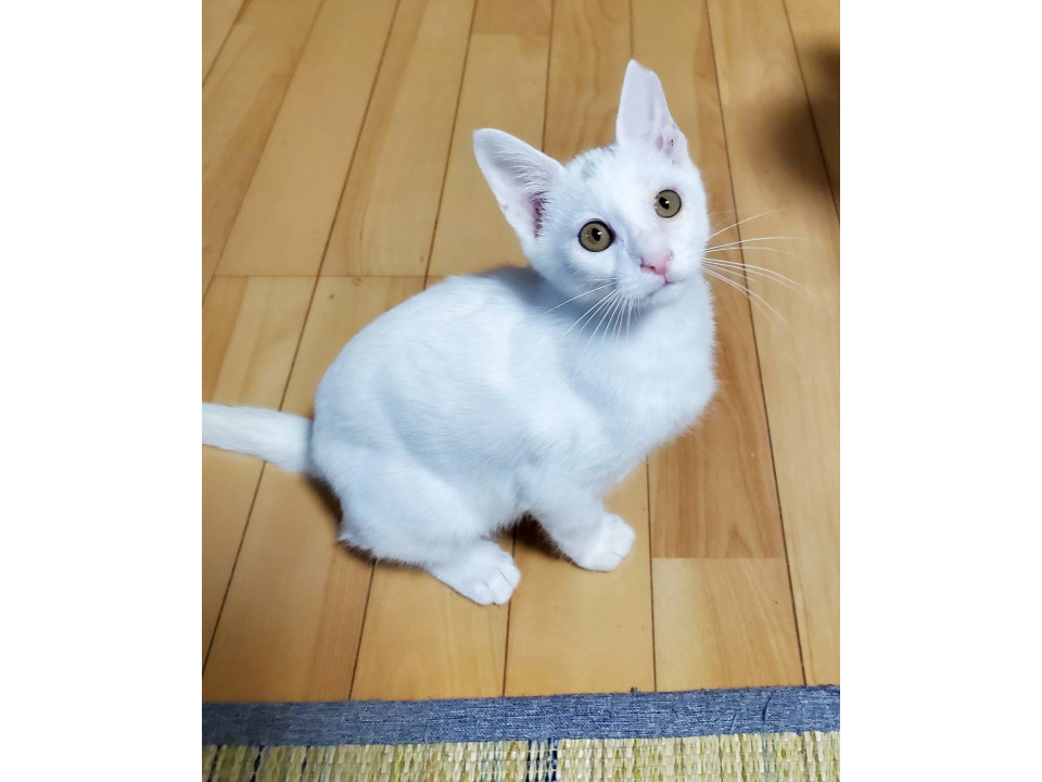 枝豆男☆3ヶ月くらい