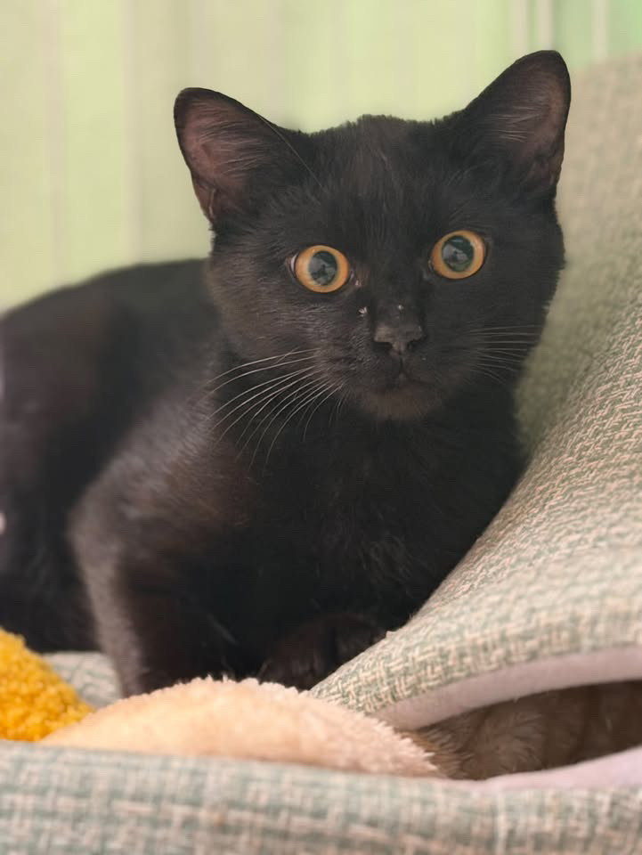 キュートなびっくり顔●気持ちよく食べる子