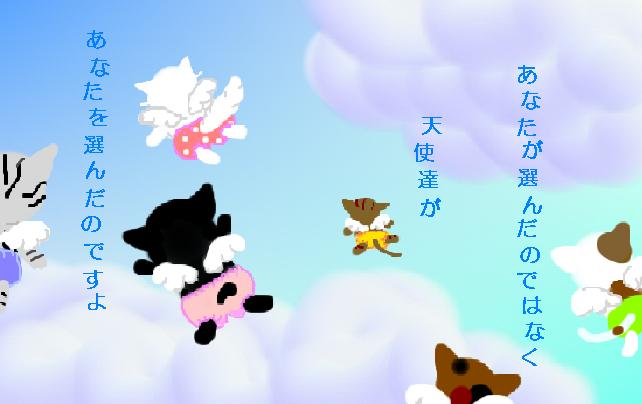 コメント62の画像