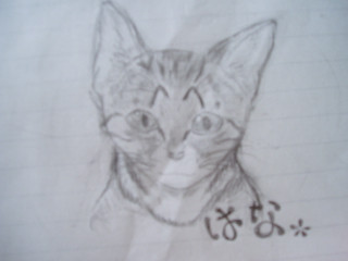 コメント115の画像