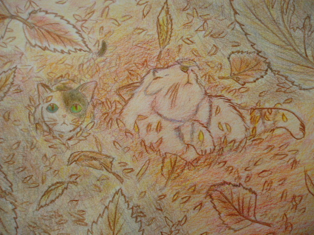 コメント181の画像