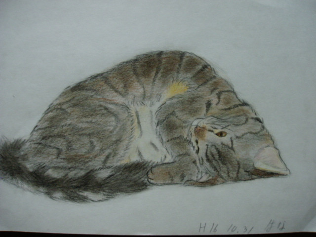 コメント207の画像