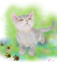 コメント135の画像