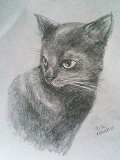 コメント142の画像