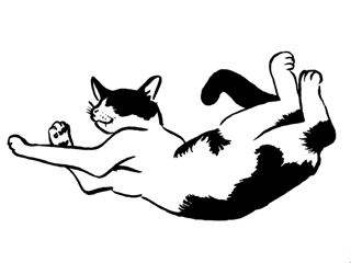 コメント276の画像