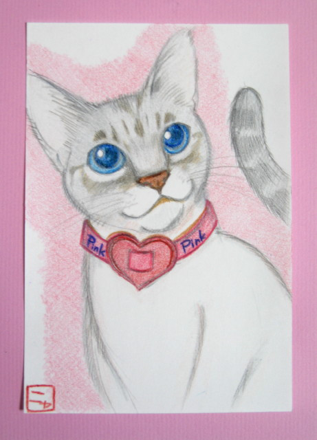 コメント120の画像