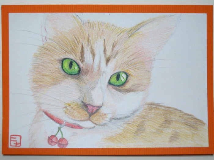 コメント125の画像