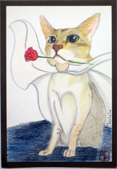 コメント128の画像