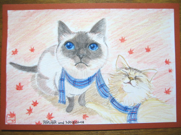 コメント130の画像