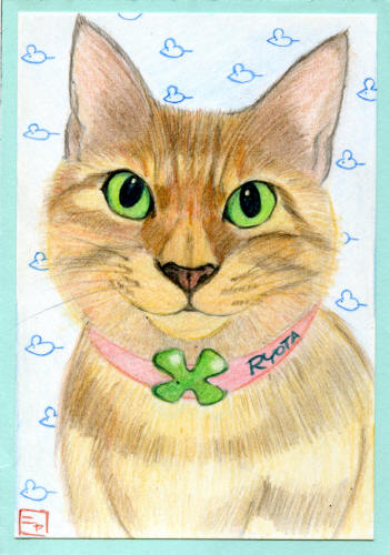 コメント141の画像