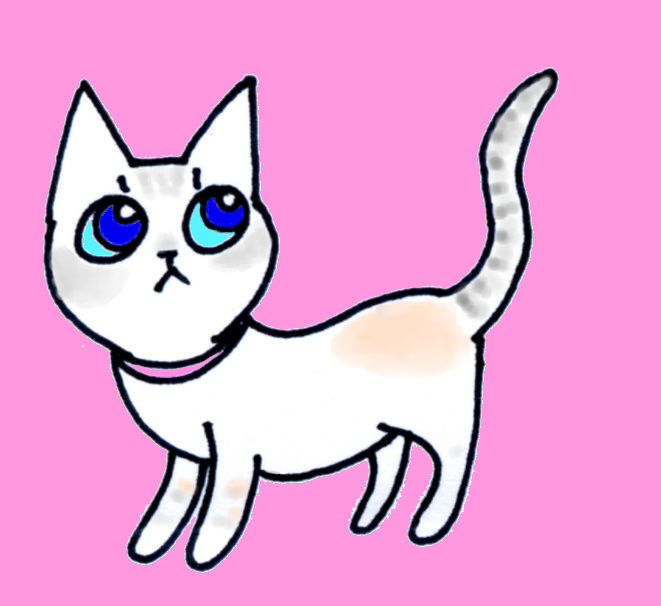 コメント183の画像