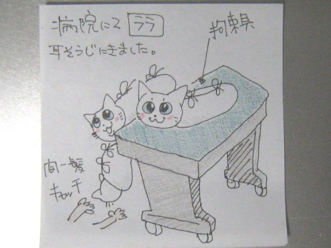 コメント291の画像