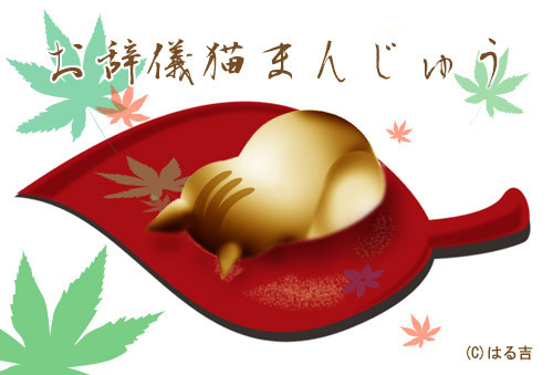 コメント303の画像