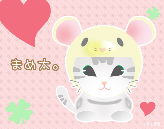 コメント305の画像