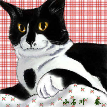 コメント111の画像