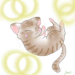 コメント262の画像