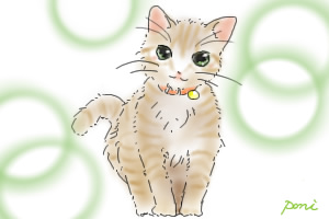 コメント267の画像