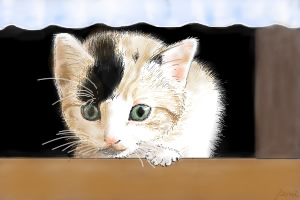 コメント268の画像