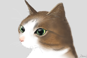 コメント270の画像