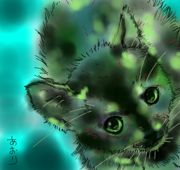 コメント69の画像