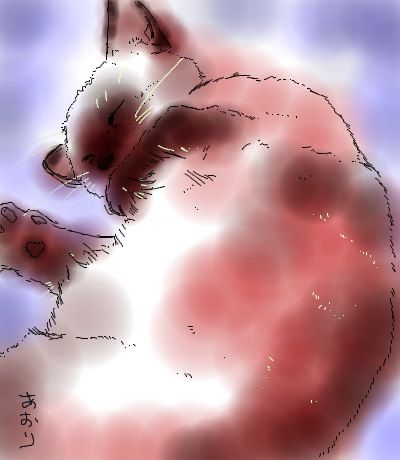 コメント102の画像