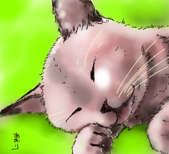 コメント196の画像